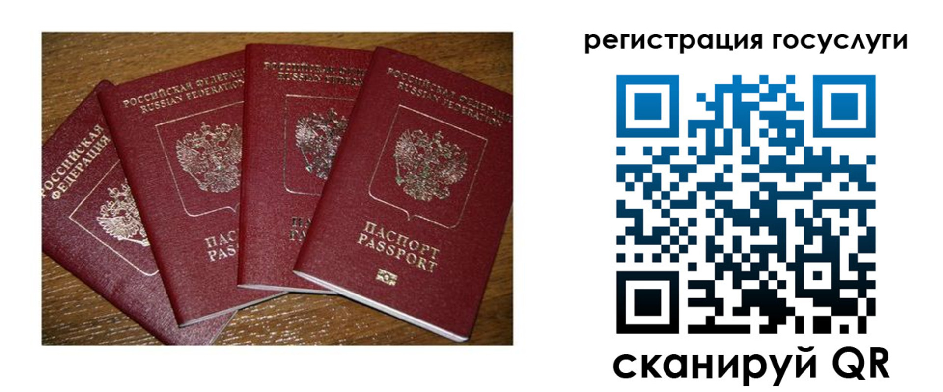 временная регистрация гарантия в Лесном